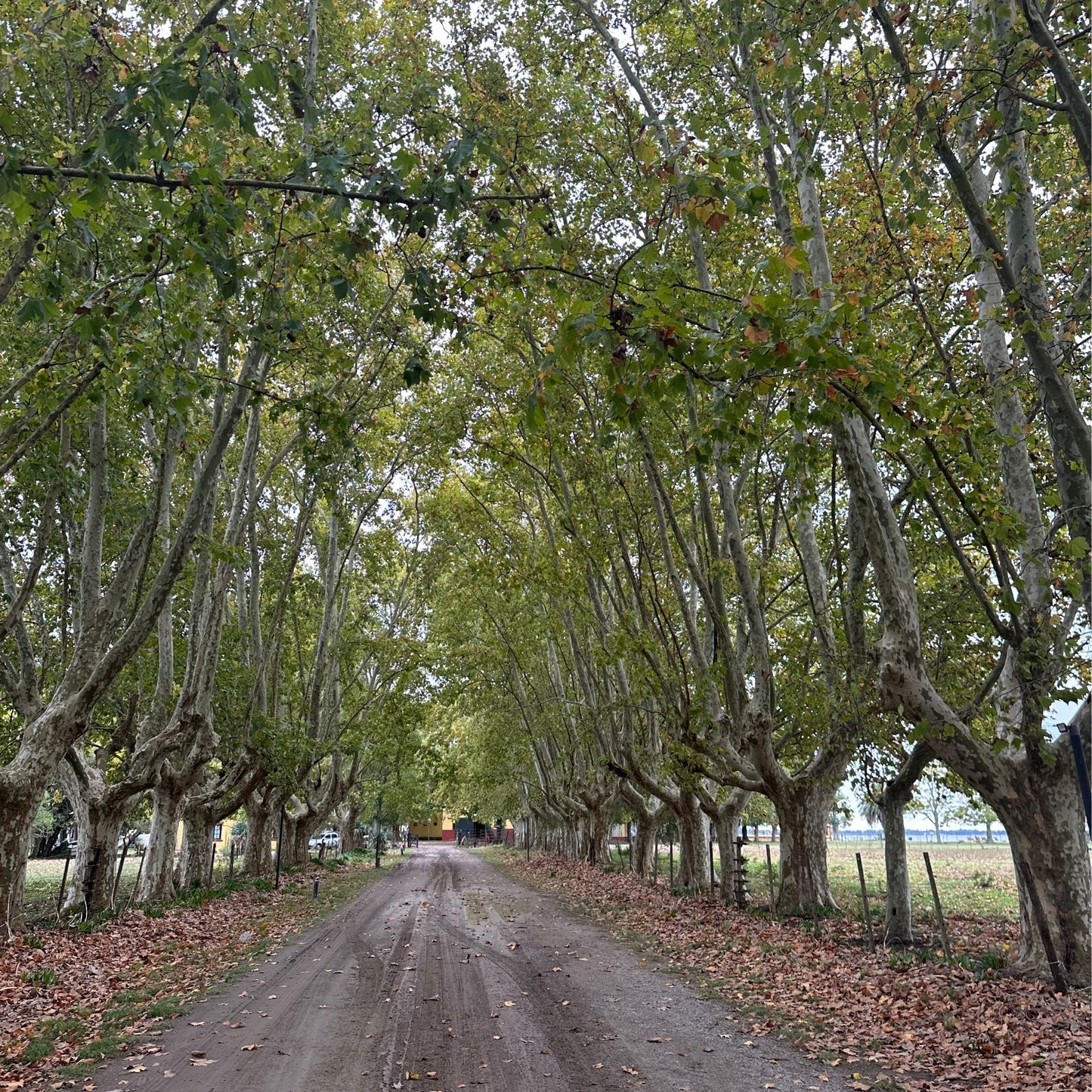 Enjoy wine and food in a Buenos Aires vineyard