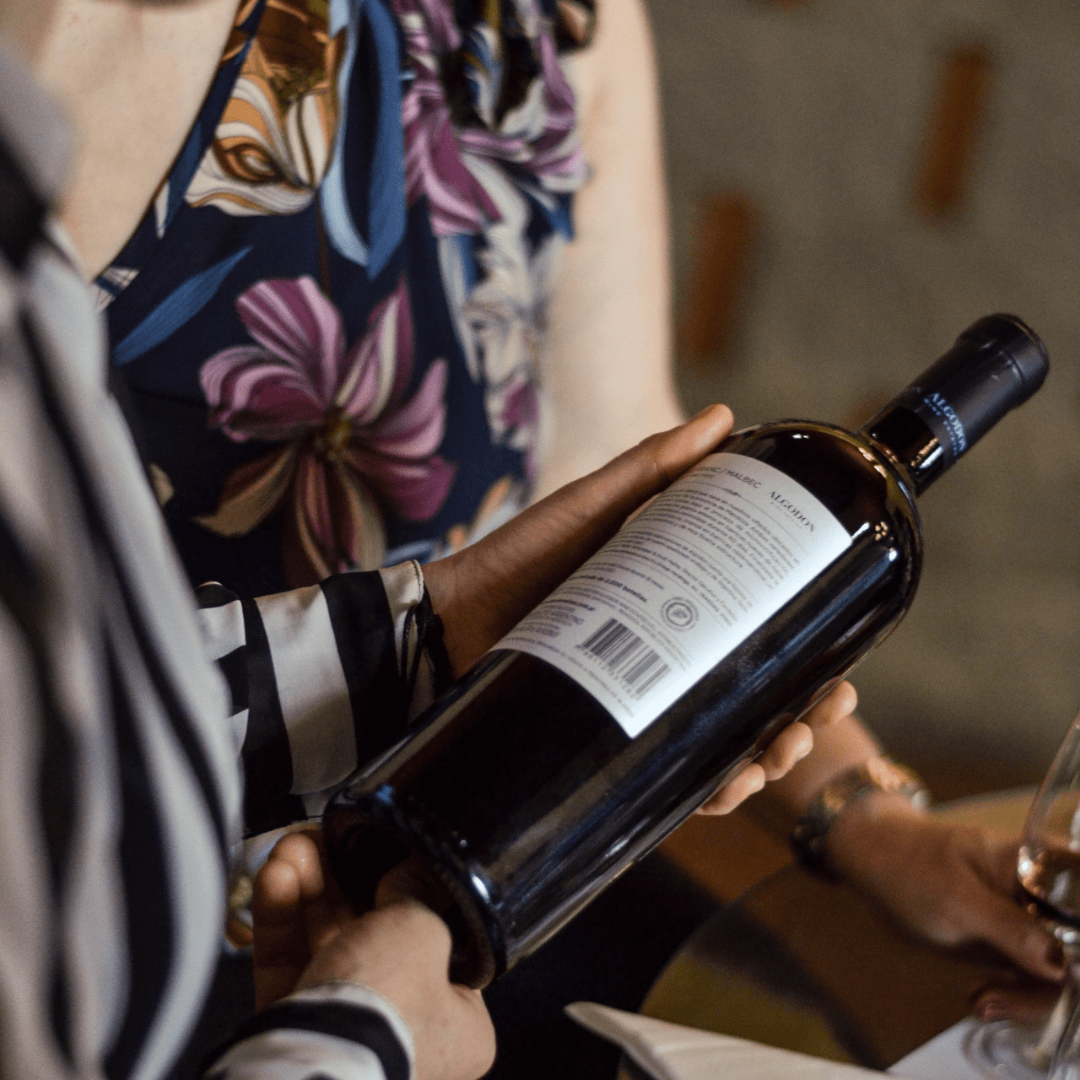 Premium Wine Tasting: Expore the wine culture of Argentina.